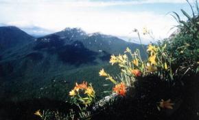 대중가요 '해남 아가씨' 의 배경이 된 해남…