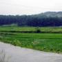 [부동산 in] 땅투자자 몰리는 이천·여주