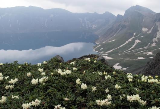 꽃단장한 백두산 천지. 7~8월 천지 주변 고…