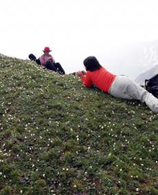 야생화 만발한 고산화원