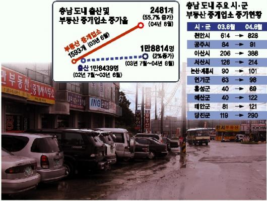 충남 당진군 당진읍 원당리 국도 34호선 주변에 부동산중개업소의 간판이 즐비하다. 당진 이천열기자 sky@seoul.co.kr