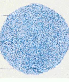 김홍주 ‘포세이돈의 분노’.114×115㎝.캔…