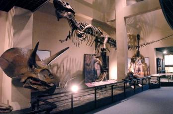 ‘공룡의 나라’인 고성의 상족암 인근 해변에 들어선 공룡박물관 내부 모습.막바지 정리 작업이 한창인 이 박물관은 오는 10일쯤 개관할 예정이다.
 고성 이언탁기자 utl@seoul.co.kr