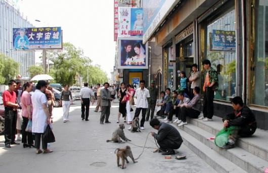 원숭이가 묘기를 부리는 모습을 지켜보는 옌지 시민들.옌볜의 조선족들은 한국을 자신들의 꿈을 이뤄주는 ‘희망’으로 여기고 있다.
 옌볜 김규환특파원