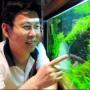 임채석씨 “물고기도 스트레스에 약해 자연환경에 맞춰줘야 건강”