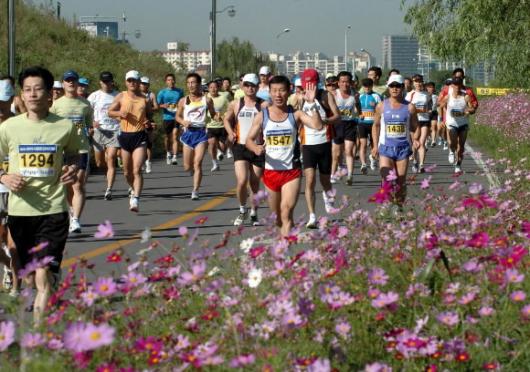 코스모스와 함께