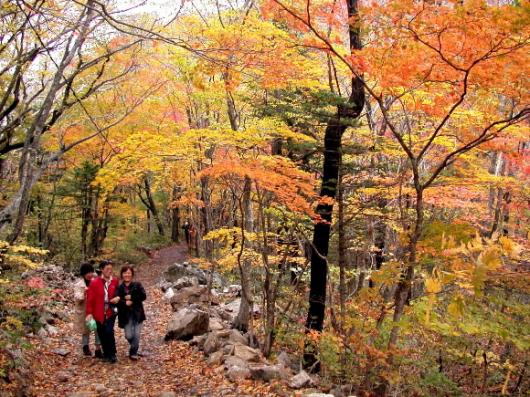 태고의 신비가 느껴지는 ‘천상의 화원’남…