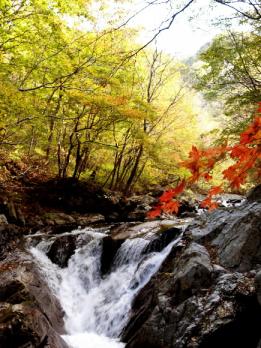 파란 가을 하늘과 강렬한 단풍의 조화가 청…