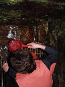 갈증이 느껴지면 몸에좋은 '방동약수'로 목…