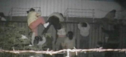 15일 오전 6시쯤 중국 베이징에서 탈북자로…