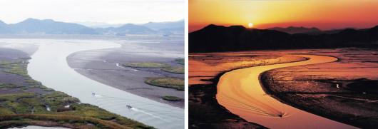 순천만의 낮과 노을