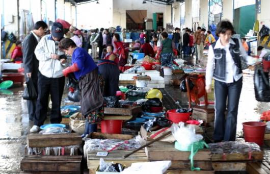 일본 도쿄의 쓰키지(築地)시장과 더불어 세계 최대 규모를 자랑하는 부산 자갈치시장. 한국동란과 화재 등 숱한 우여곡절 끝에 세계적 어시장으로 성장한 이곳에는 지금도 ‘꼼장어’처럼 강인한 생명력이 요동치고 있다.