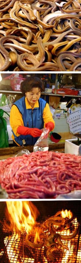 자갈치시장에서 34년째 ‘꼼장어’를 다뤄와…