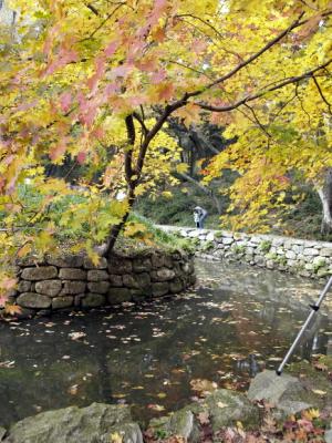 선암사의 인공연못 '삼인당'.