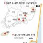 [위기의 숲] 솔잎혹파리는 ‘폭탄’ 재선충은 ‘핵폭탄급’