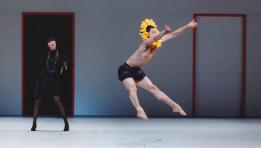 '두개보다 많은 그림자'