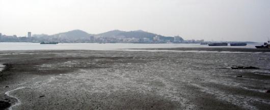 정주사의 고향 서천쪽에서 바라본 금강하구…