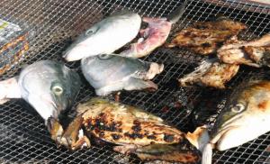 회는 물론 ‘샤부샤부’로 먹는 맛이 일품인…