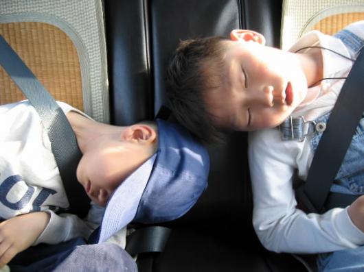 나들이 도중 차안에서 잠든 개구쟁이들(홍길…