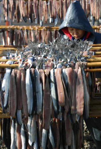 겨울 들면서 포항 인근 구룡포 일대에는 과…