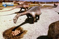 28일 방영되는 '다이노소어 플래닛' 시리즈…