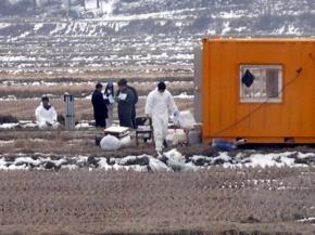 조류독감이 발생한 충남 천안 풍세면 용정리…