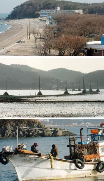 영흥도 바람숲은 조상과 자연이 남겨준 값진…