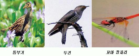 천연기념물로 새로 지정예고된 동물들