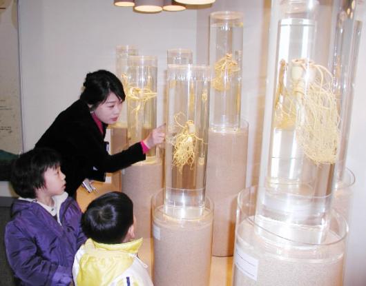 인삼박물관을 찾은 어린이들이 기묘한 형상…