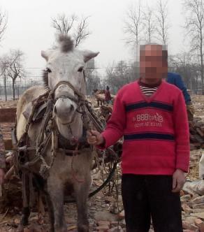 2년 전 네이멍구에서 베이징으로 무작정 상경한 옌씨가 세 식구의 ‘생명줄’인 우마차 고삐를 꼭 잡고 있다. 베이징 오일만특파원