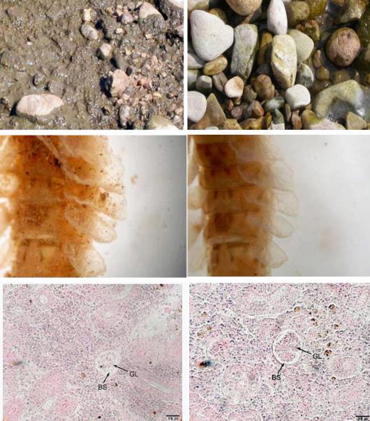 생태계 보전과 파괴의 갈림길은 이렇듯 극명…