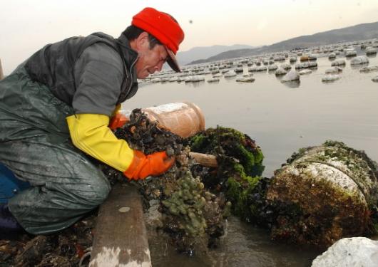 정충길씨가 전남 여수시 돌산도와 대경도 사…