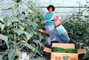 추운 날씨임에도 난방을 하지 않은 400여평…