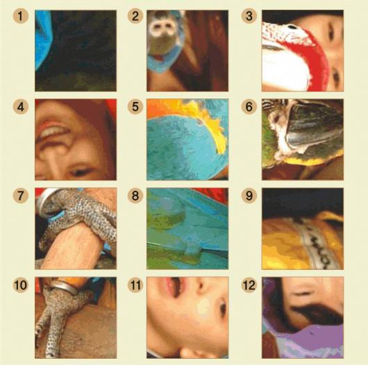 틀린 그림조각 찾기