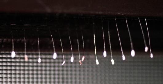 불교에서 3000년에 한 번 부처나 전륜성왕(…