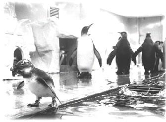 학교생활에 적응하지 못하는 분리불안 장애…