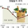‘장바구니 물가’ 두달째 상승