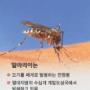 에이즈보다 무서운 말라리아