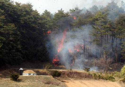 강원도 양양군 사천리 산불.
