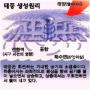 번개·태풍 모으면 돈된다
