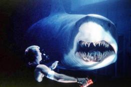 영화 '딥 블루 씨'