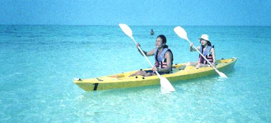 눈이 시리도록 푸른 쪽빛 바다에서 즐기는 …