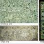 박수근화백 1960년대 작품 공개
