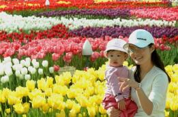 에버랜드 동물원은 맹수들의 야간생활을 볼…