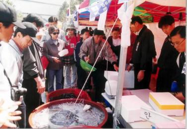 통통하게 살이 오른 주꾸미가 요즘 충남 서…