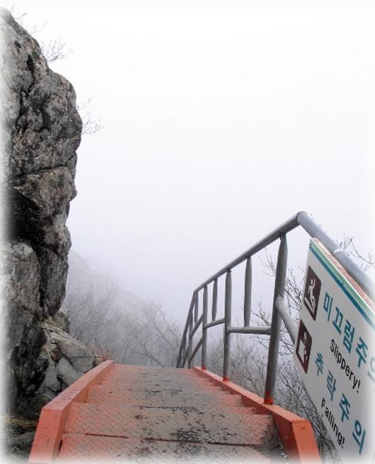 자연성능 초입의 계단. 계단에서 내려다 보…