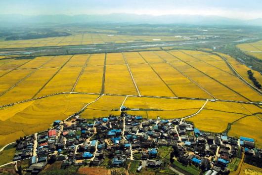 헬기에서 바라본 청원권 오창면 들판.