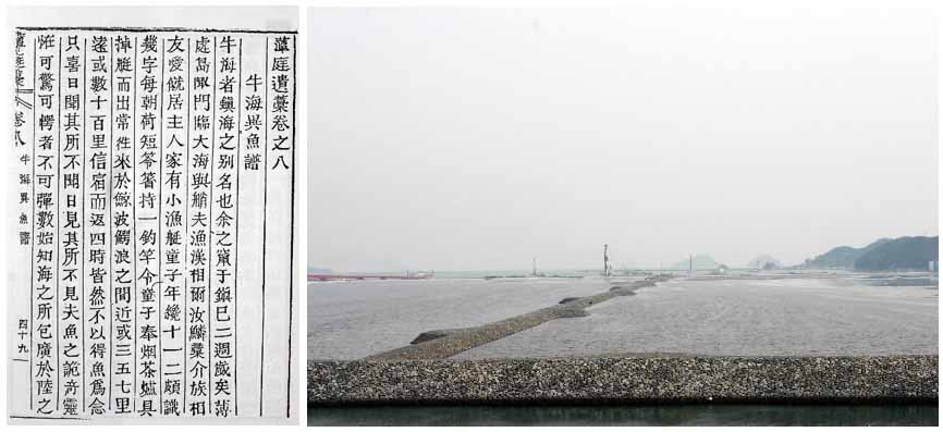 김려가 경상도 바다의 어류를 살펴 지은 우해이어보(왼쪽)와 그가 유배생활을 했던 진해의 신항만 현장.