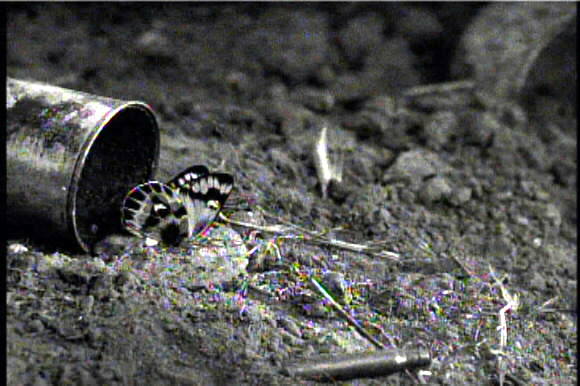 ‘서부 전선 이상 없다’의 마지막 장면.