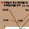 中企대출 ‘말만 요란’